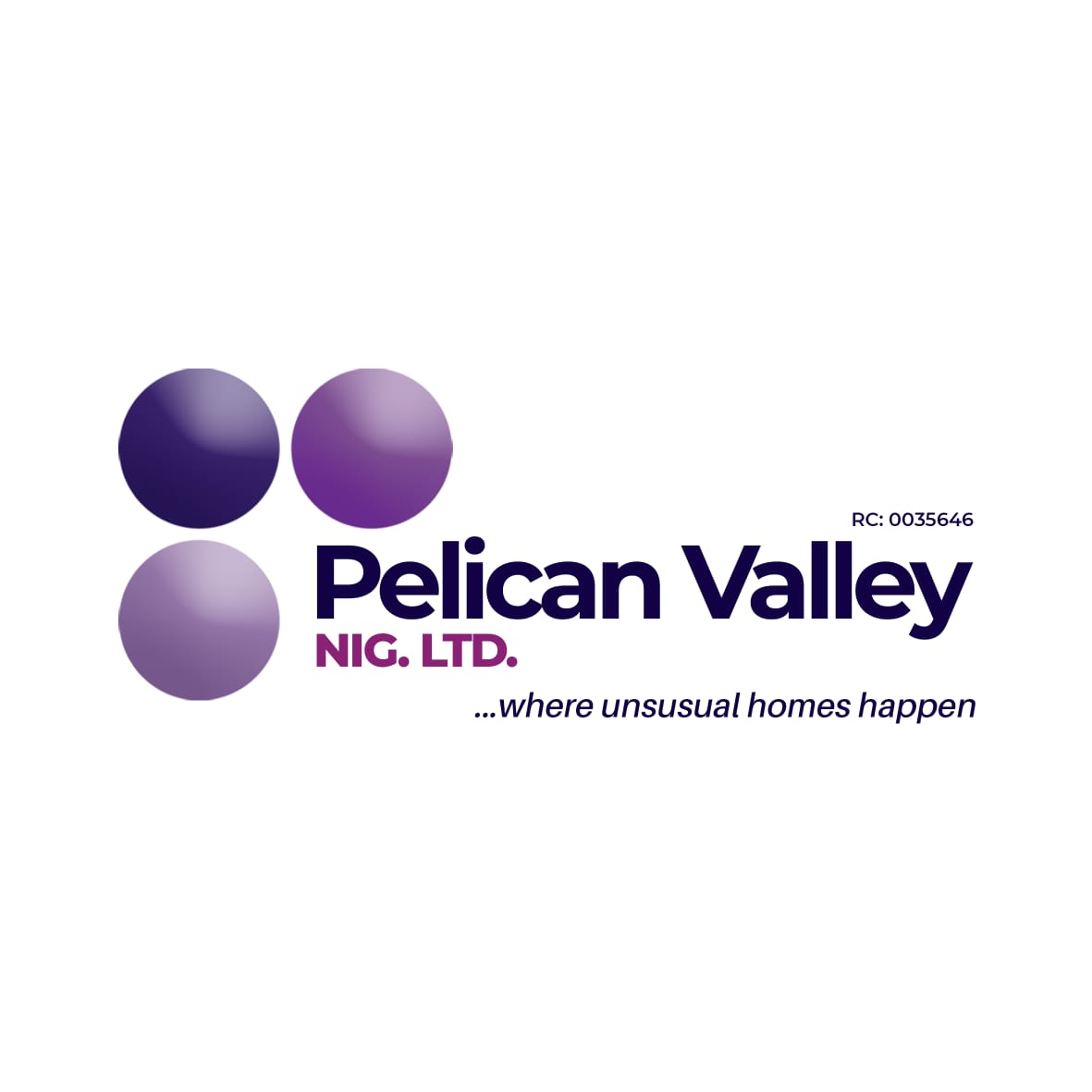 Pelican woos diasporan investors at summit